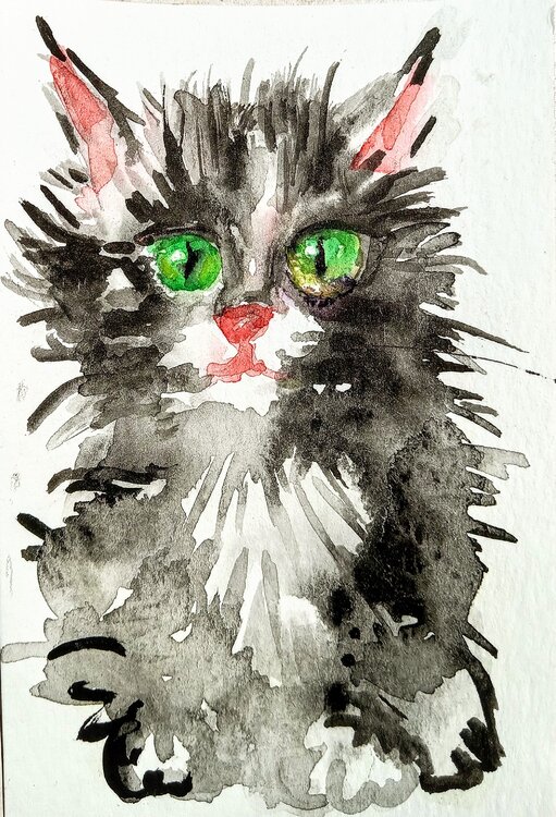Black kitten Daniela Vasileva