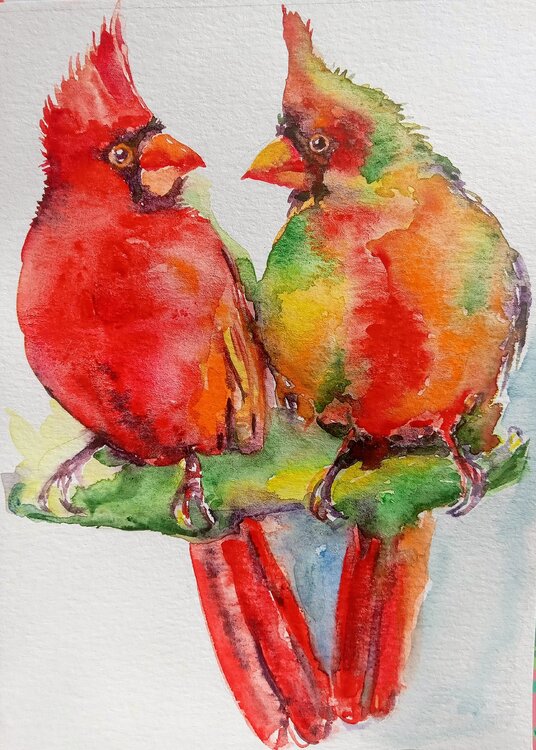 Christmas cardinals Daniela Vasileva