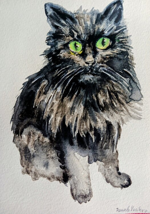 Black cat mystique Daniela Vasileva