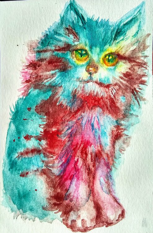 Colorful  kitty Daniela Vasileva