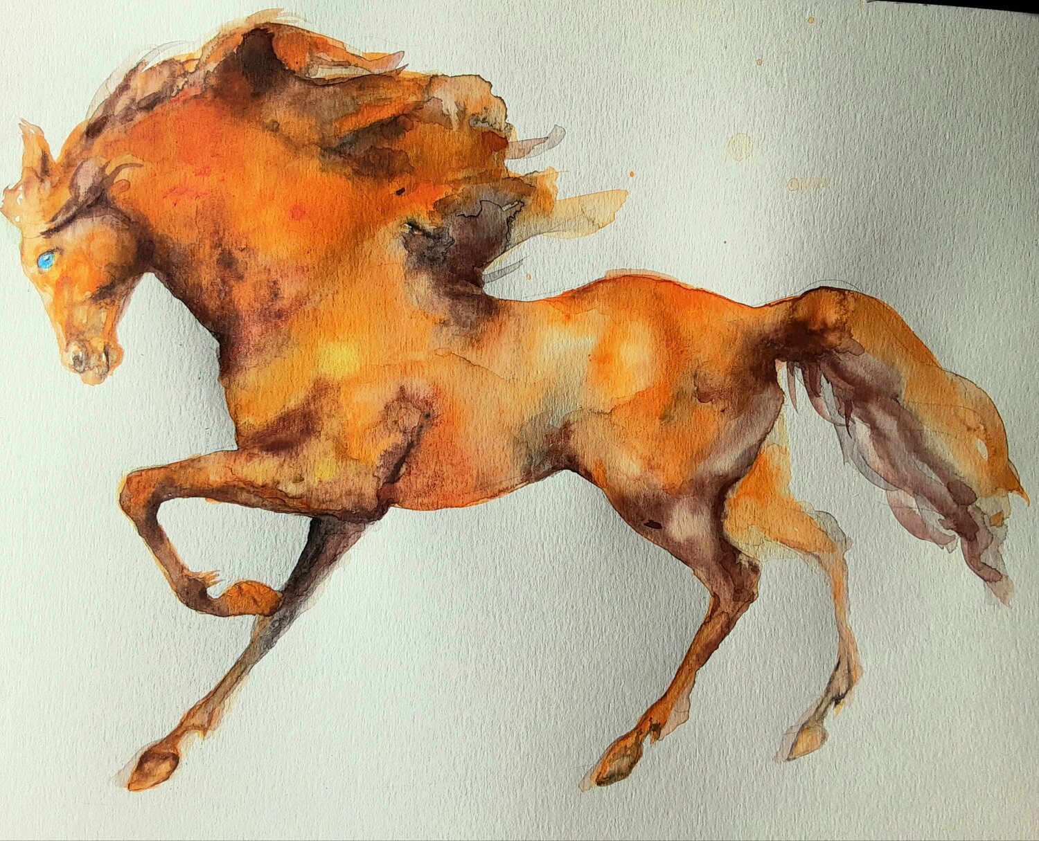 Horse in motion 8 Daniela Vasileva