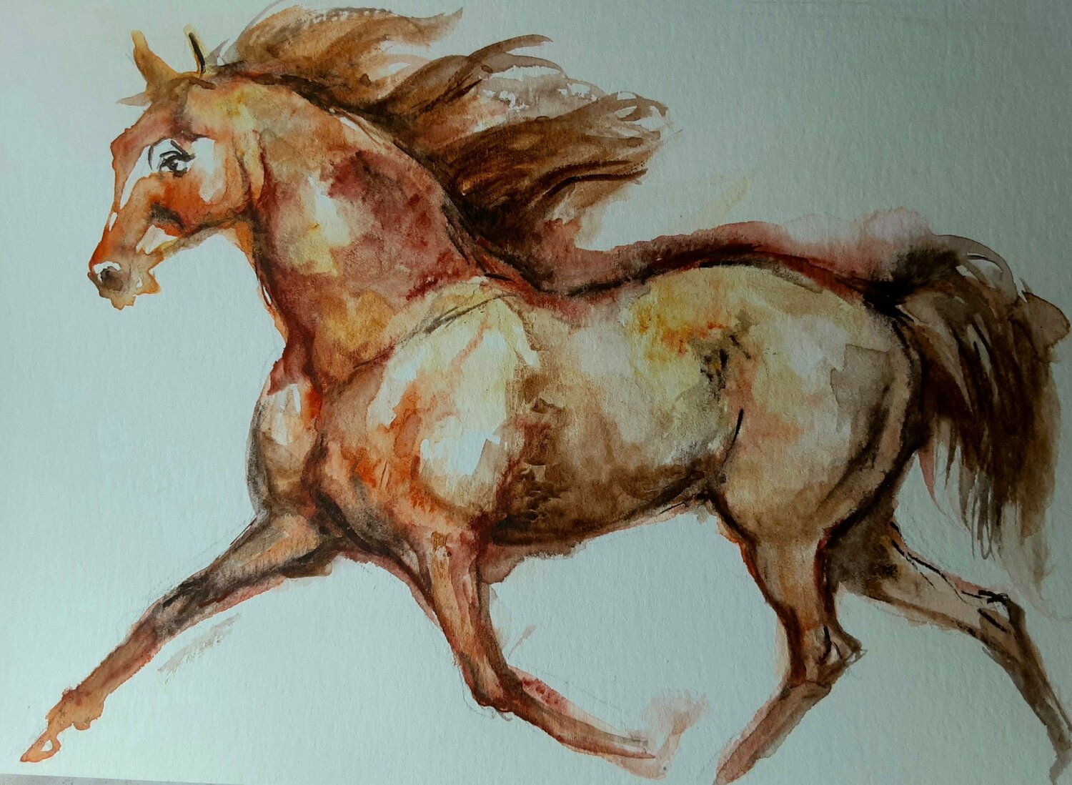 Horse running Daniela Vasileva