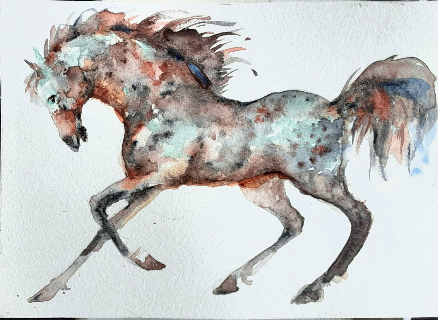 Horse running. Black white blue Daniela Vasileva
