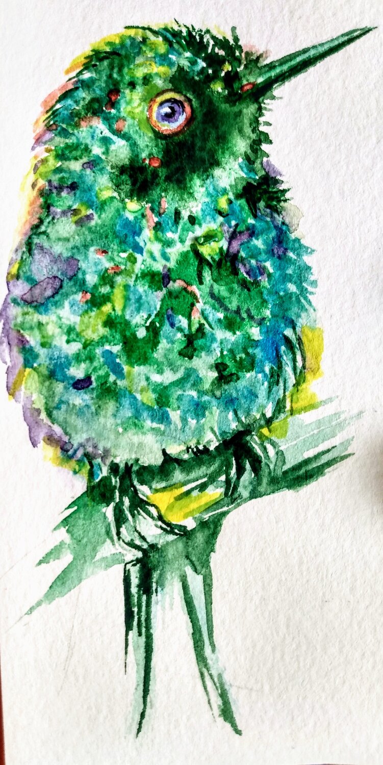 Colorful hummingbird Daniela Vasileva