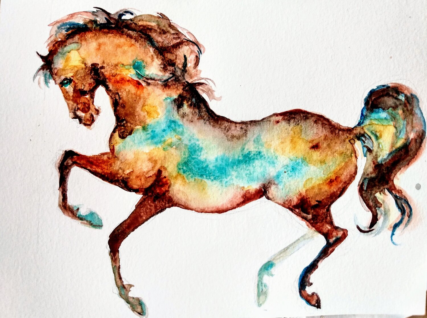 Horse running. Black white blue Daniela Vasileva