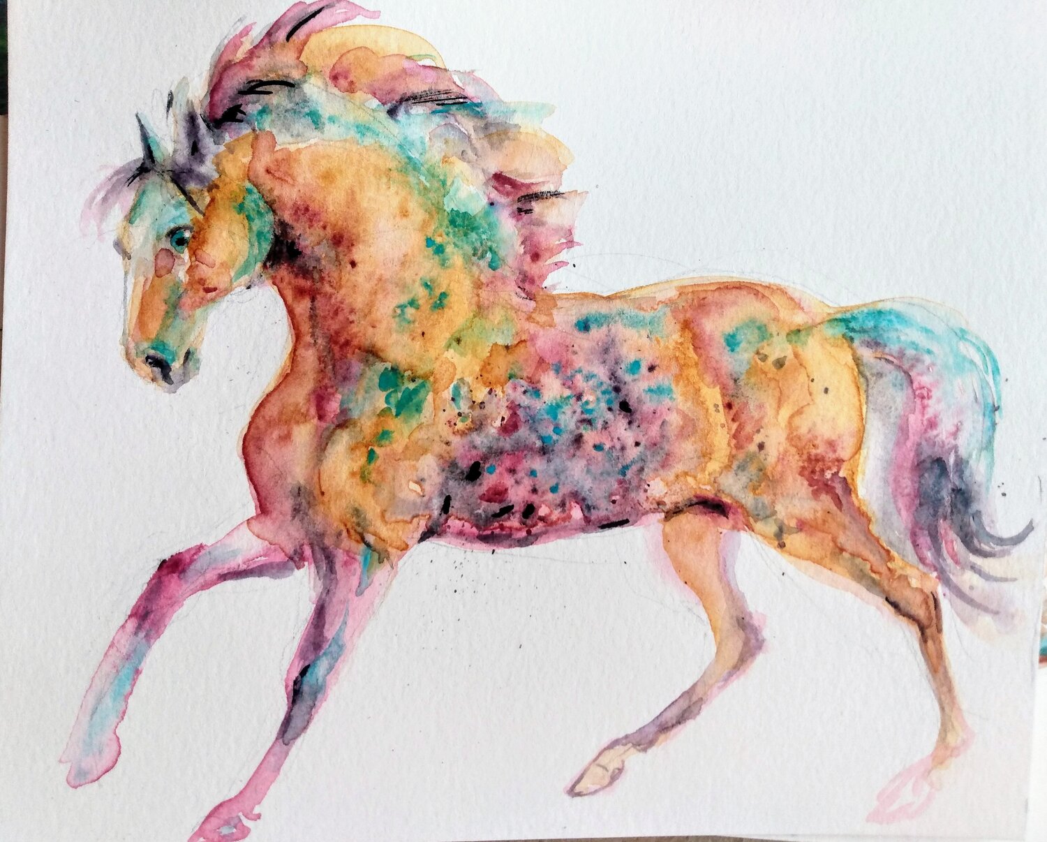 Horse running Daniela Vasileva