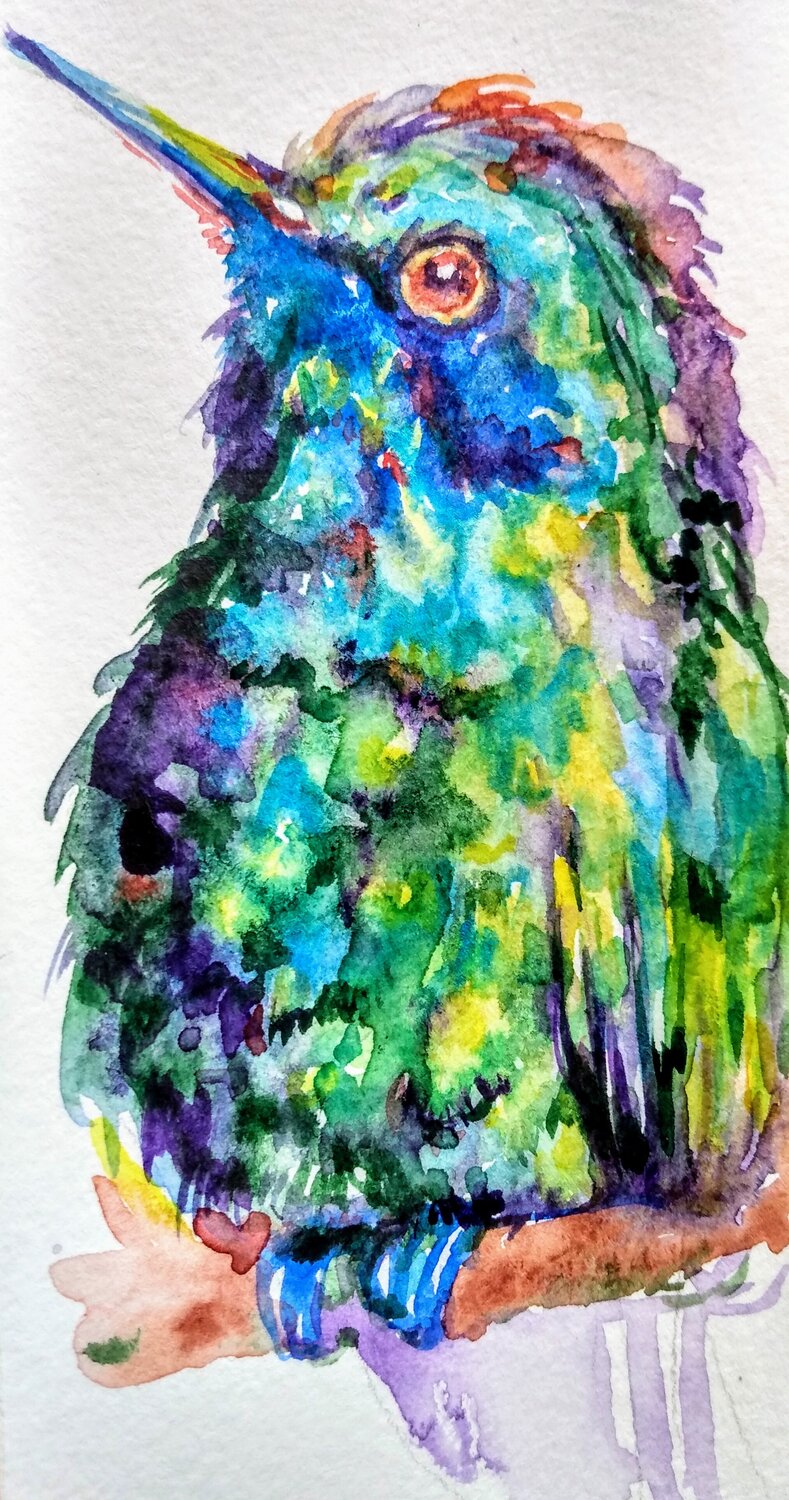 Colorful  hummingbird Daniela Vasileva