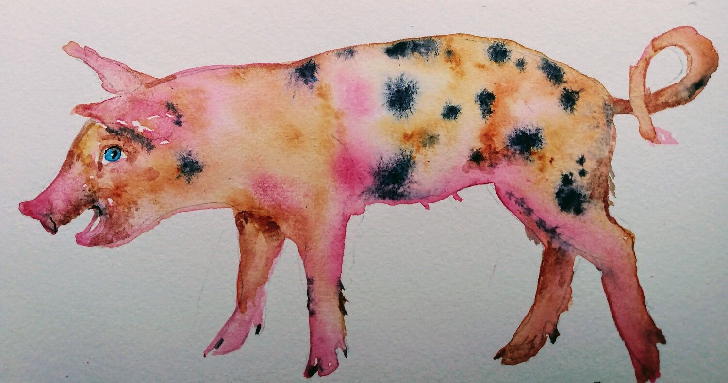 Lucky pink piglet 3 Daniela Vasileva