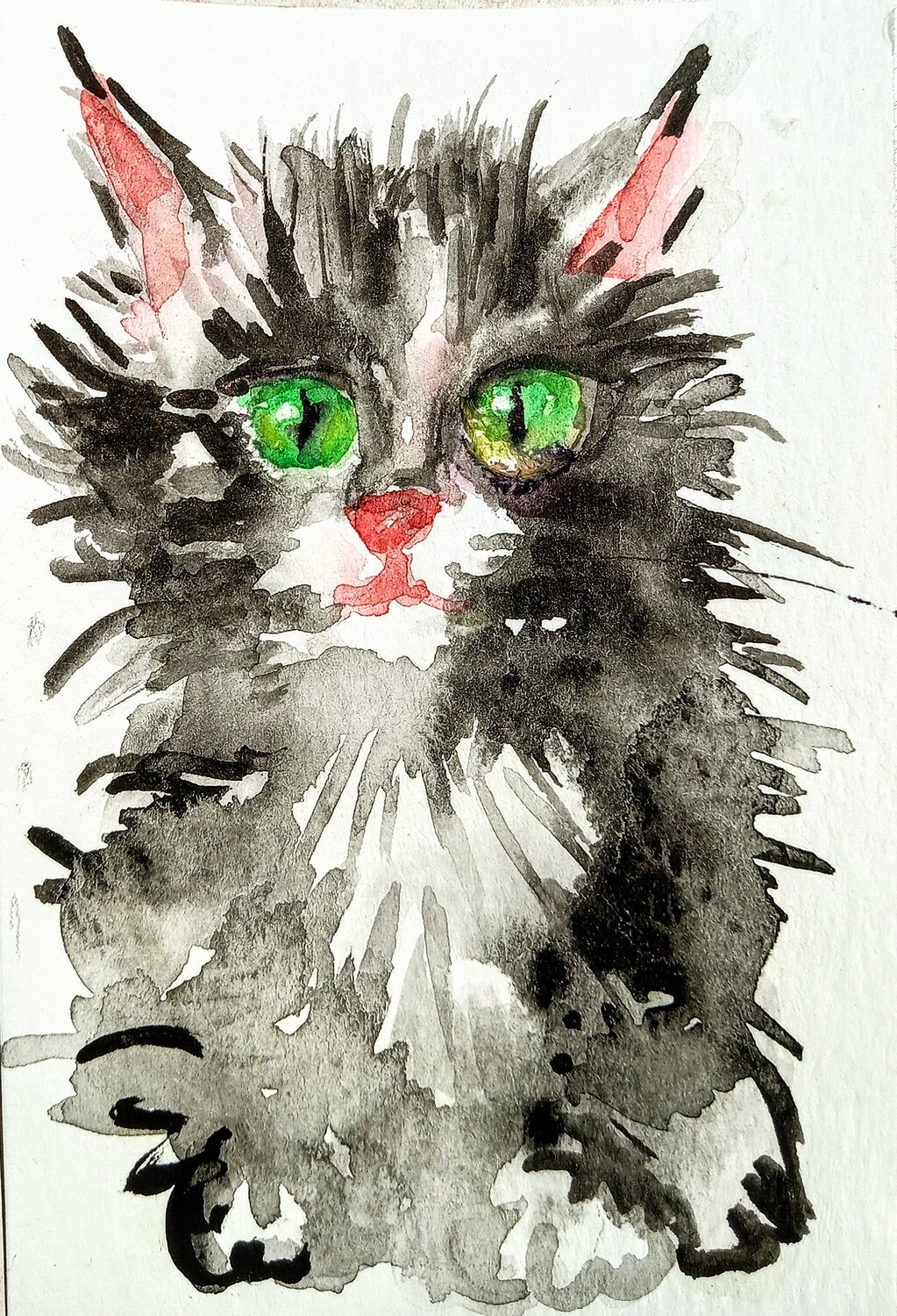 Black kitten Daniela Vasileva