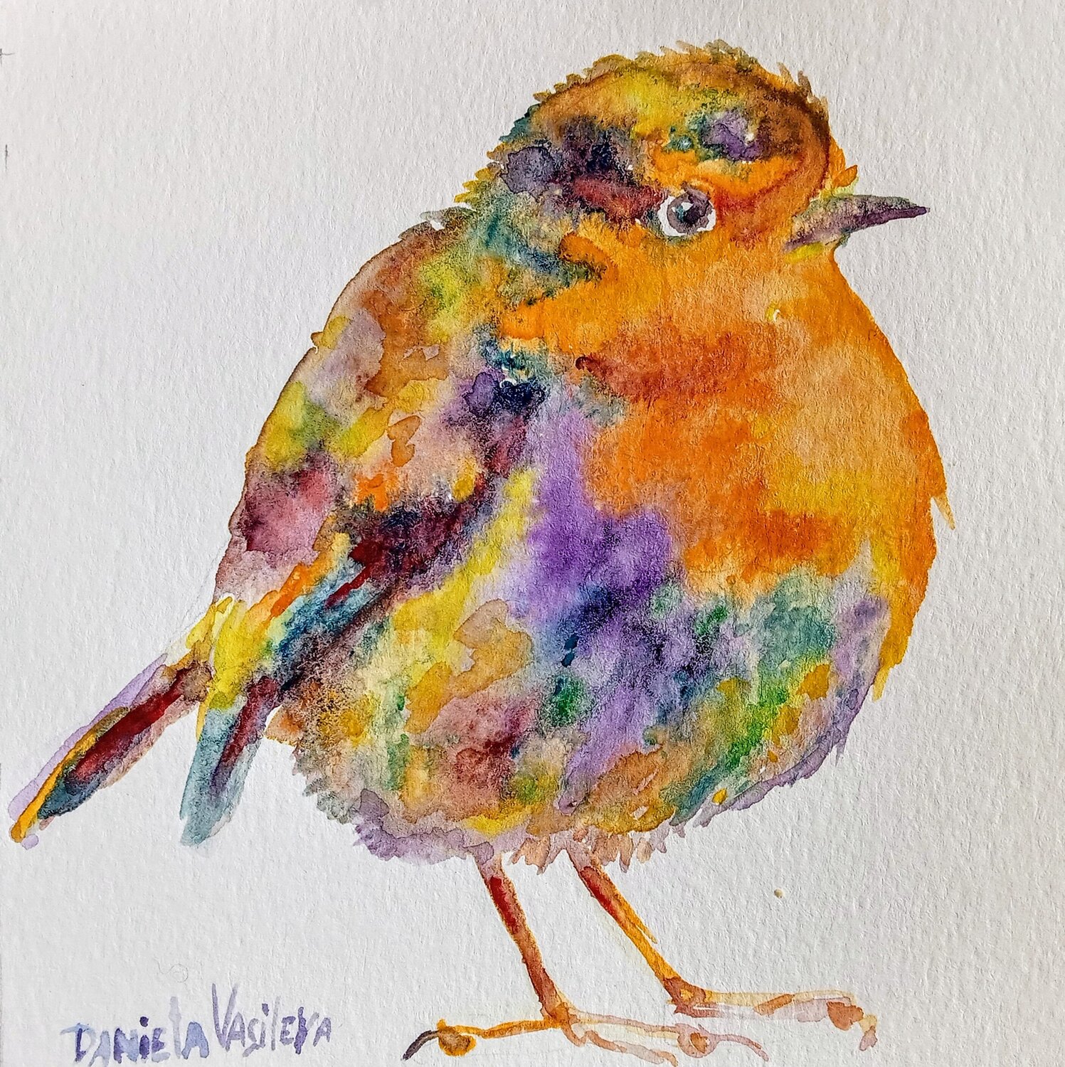 Christmas Robin bird Daniela Vasileva