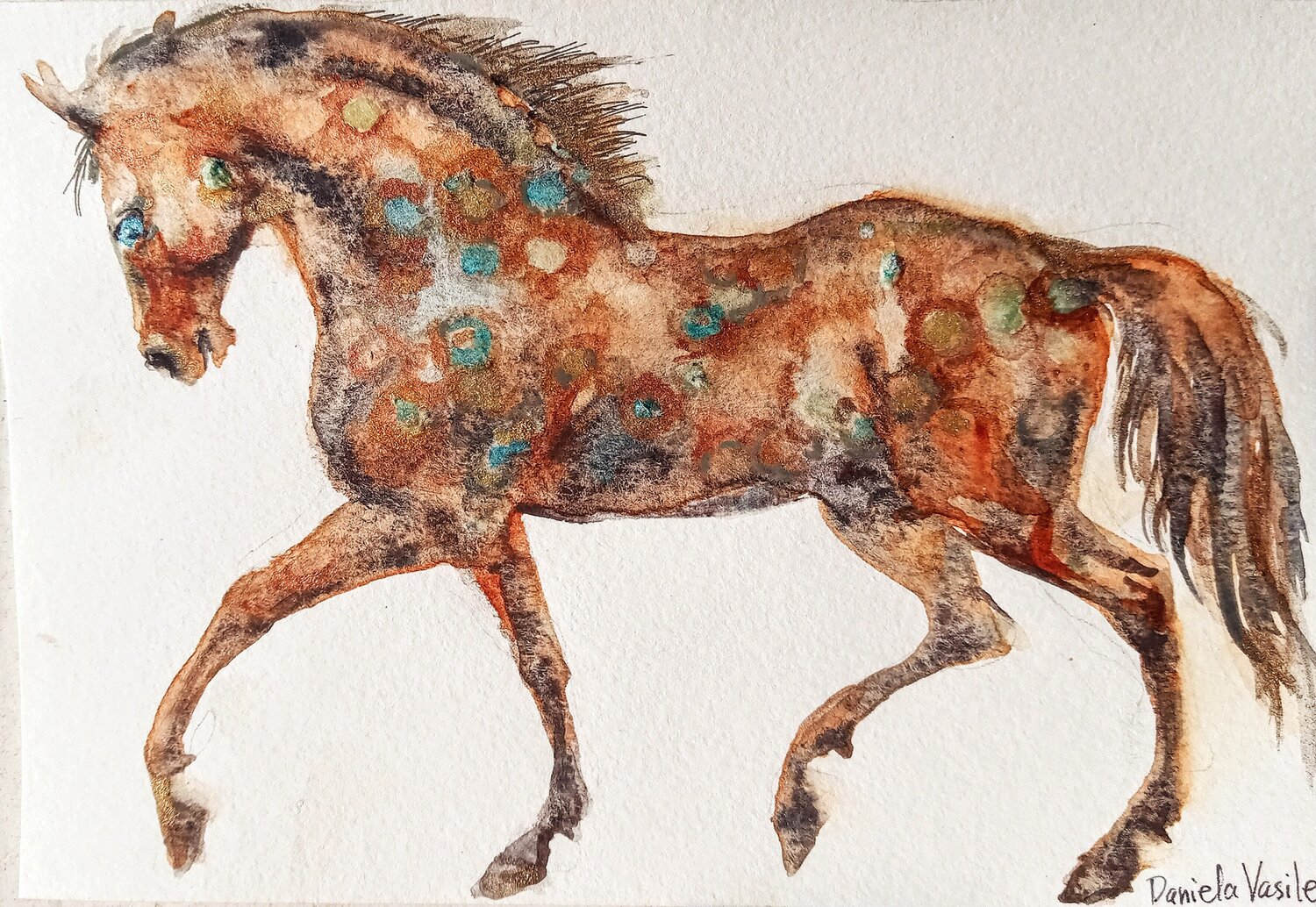Golden Appaloosa stallion Daniela Vasileva
