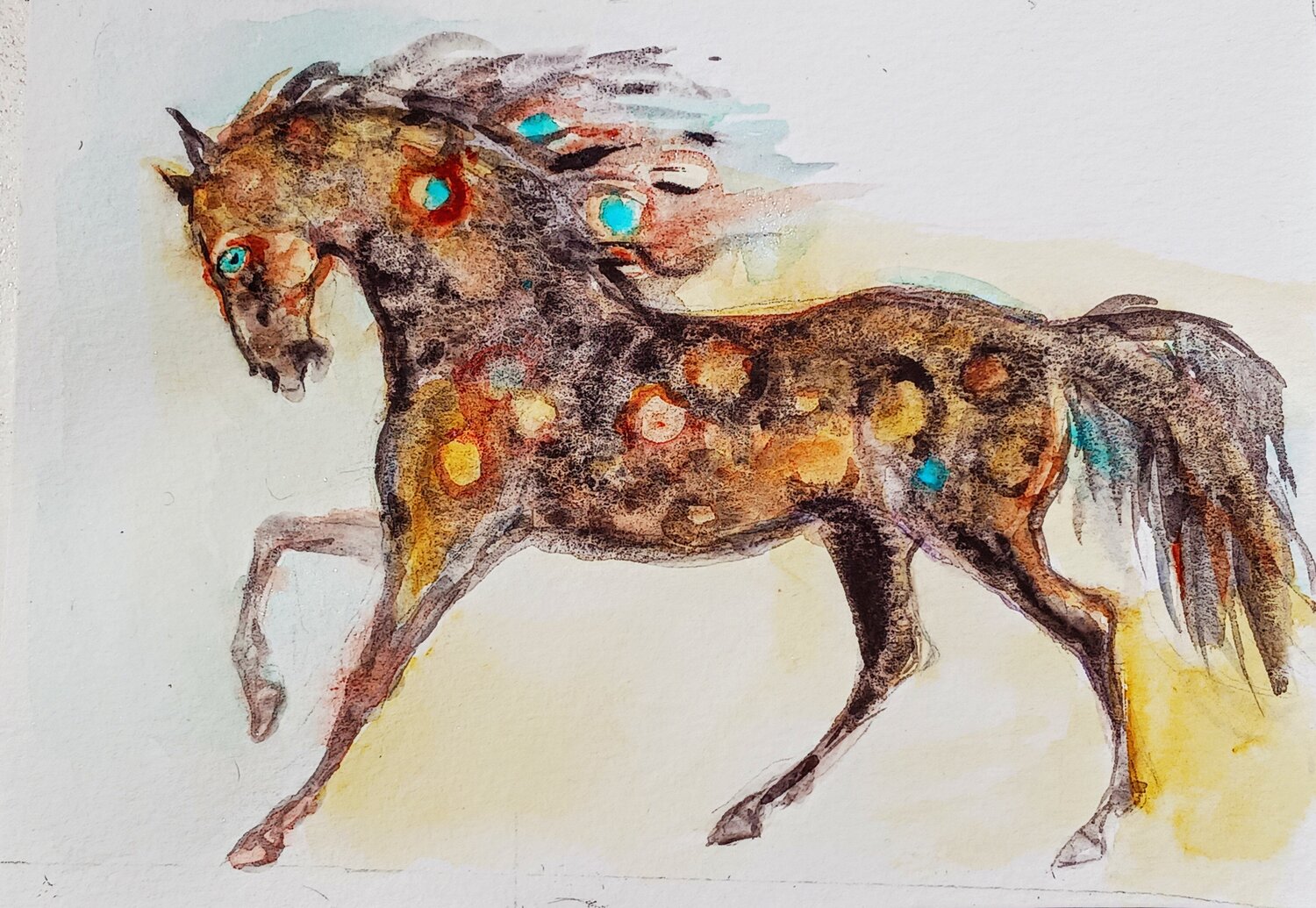 Appaloosa horse running Daniela Vasileva