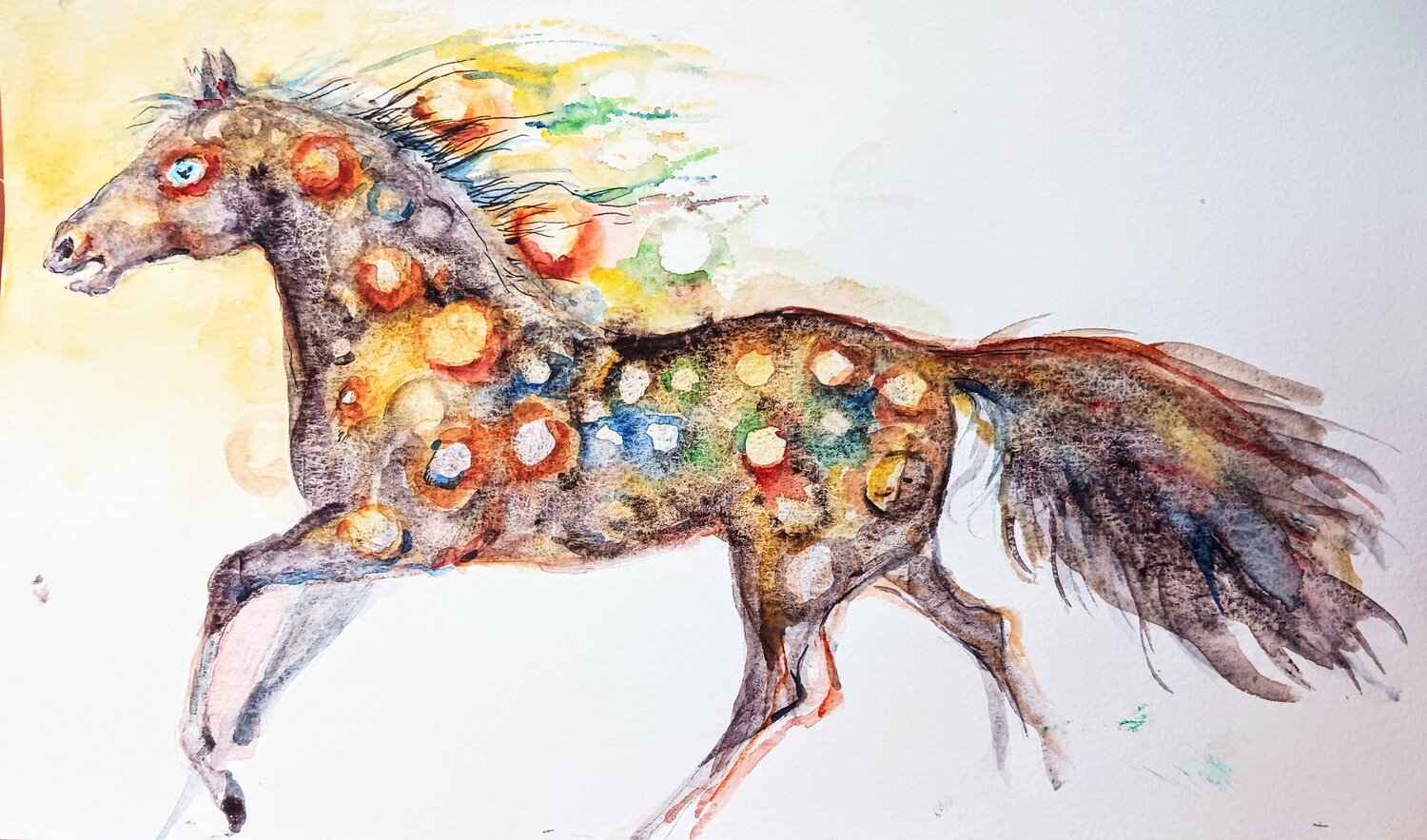 Appaloosa horse running Daniela Vasileva