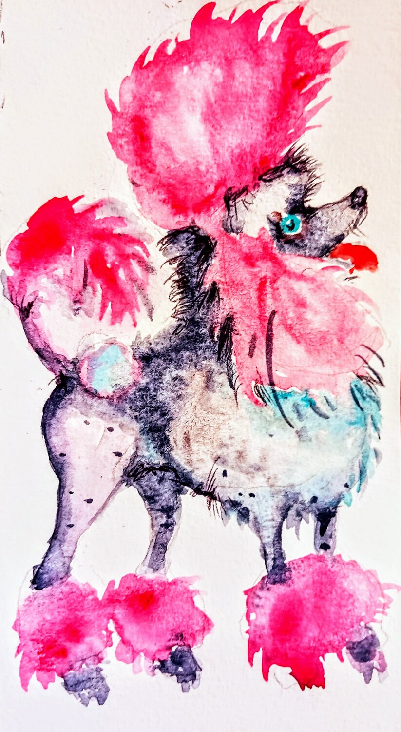 Pink poodle dog Daniela Vasileva