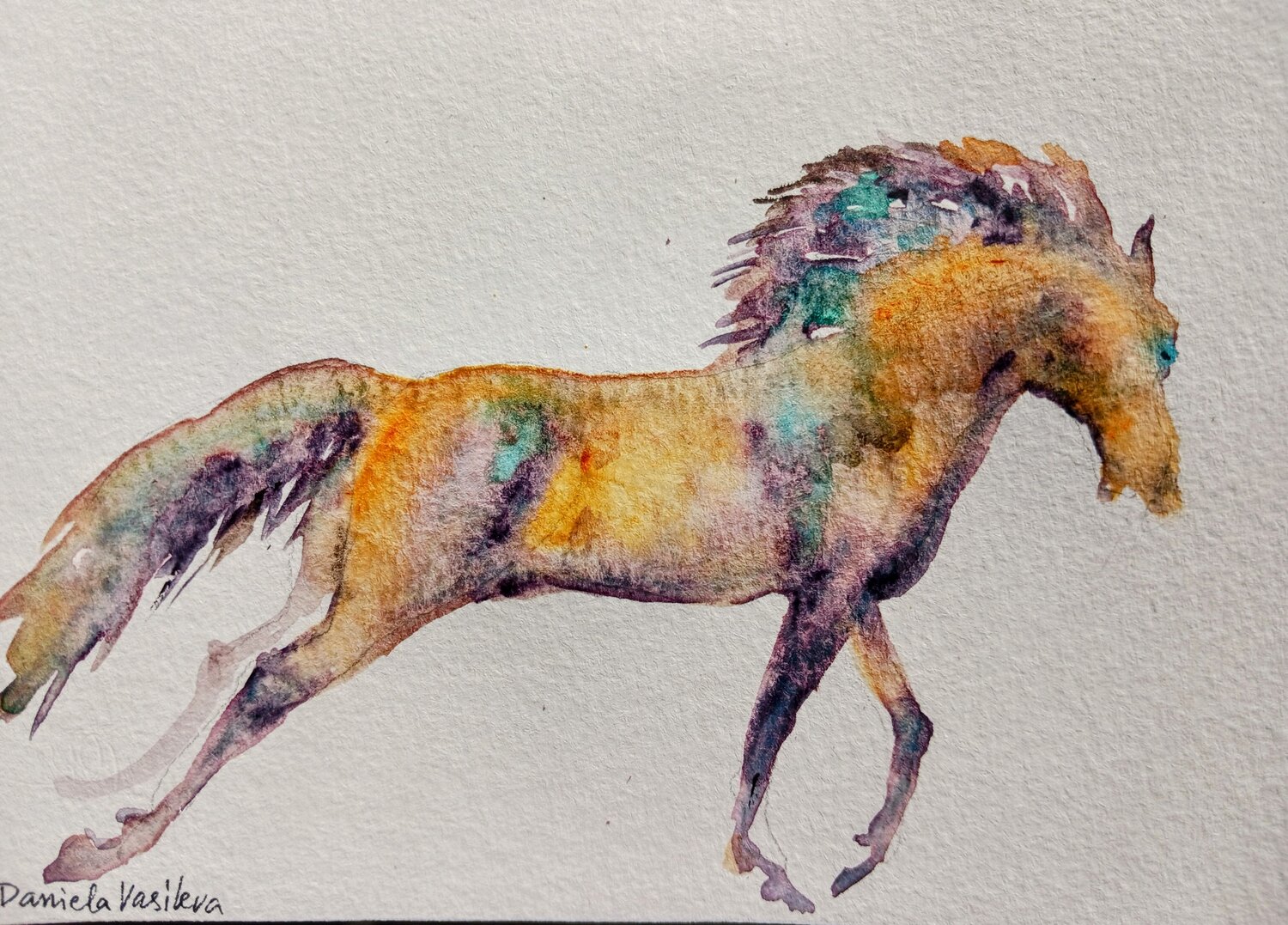 Horse in motion Daniela Vasileva