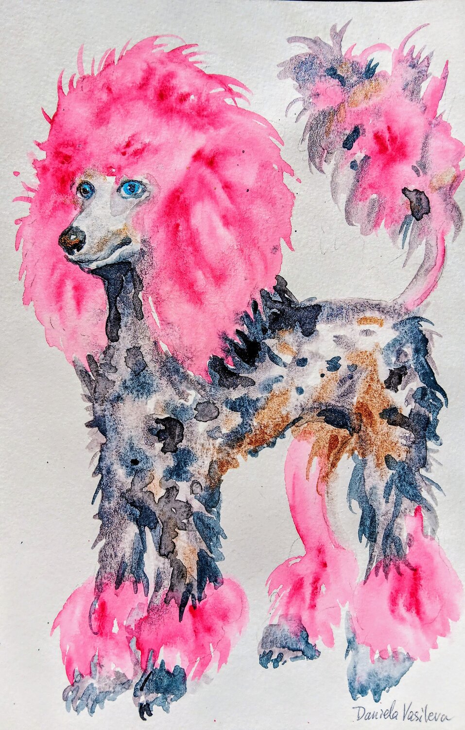 Dappled delight: the Pink poodle pallette Daniela Vasileva