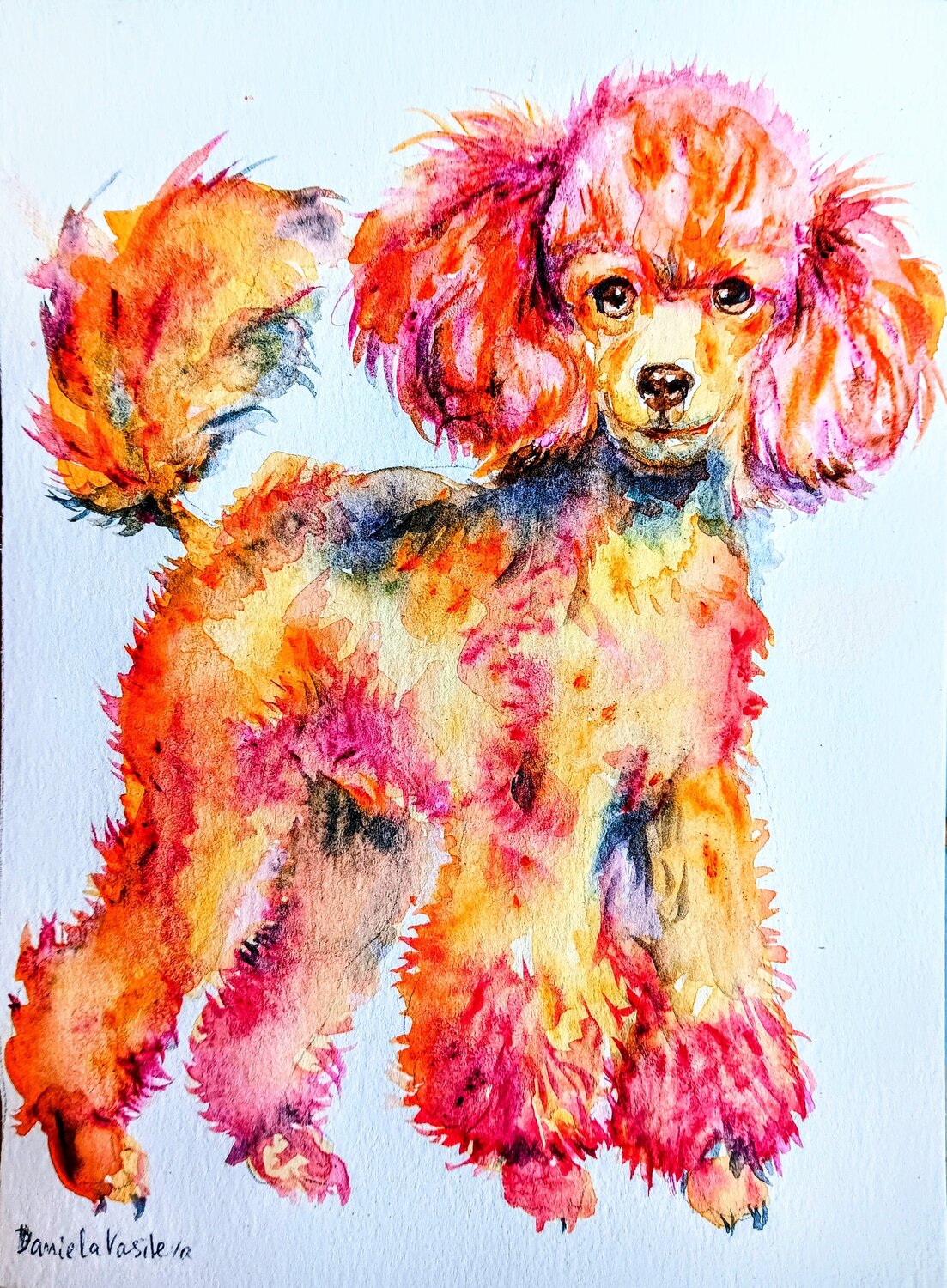 Posh pup perfection in pink gold Daniela Vasileva