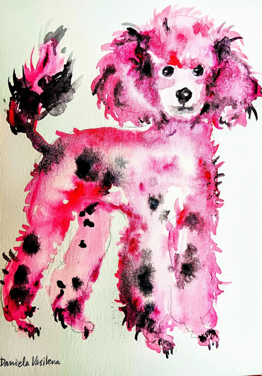 Bubblegum majesty, pink poodle Daniela Vasileva