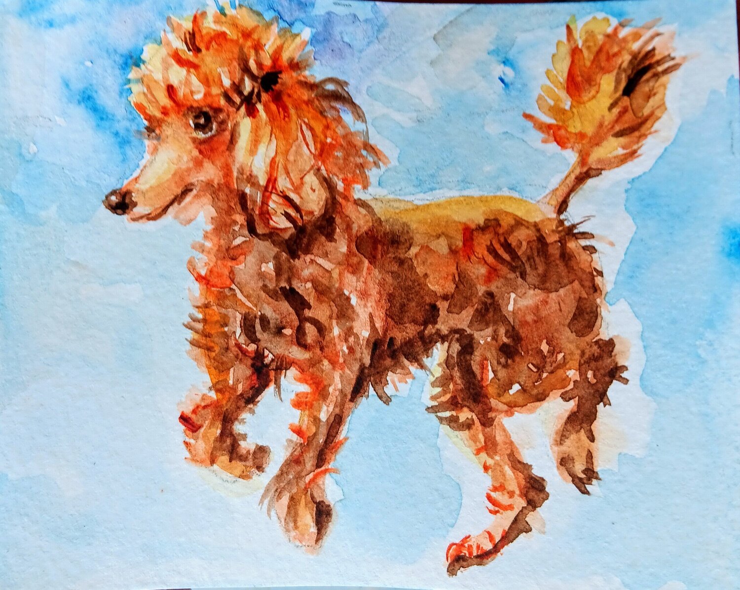 Dancing with sunshine ,peach poodle dog art Daniela Vasileva