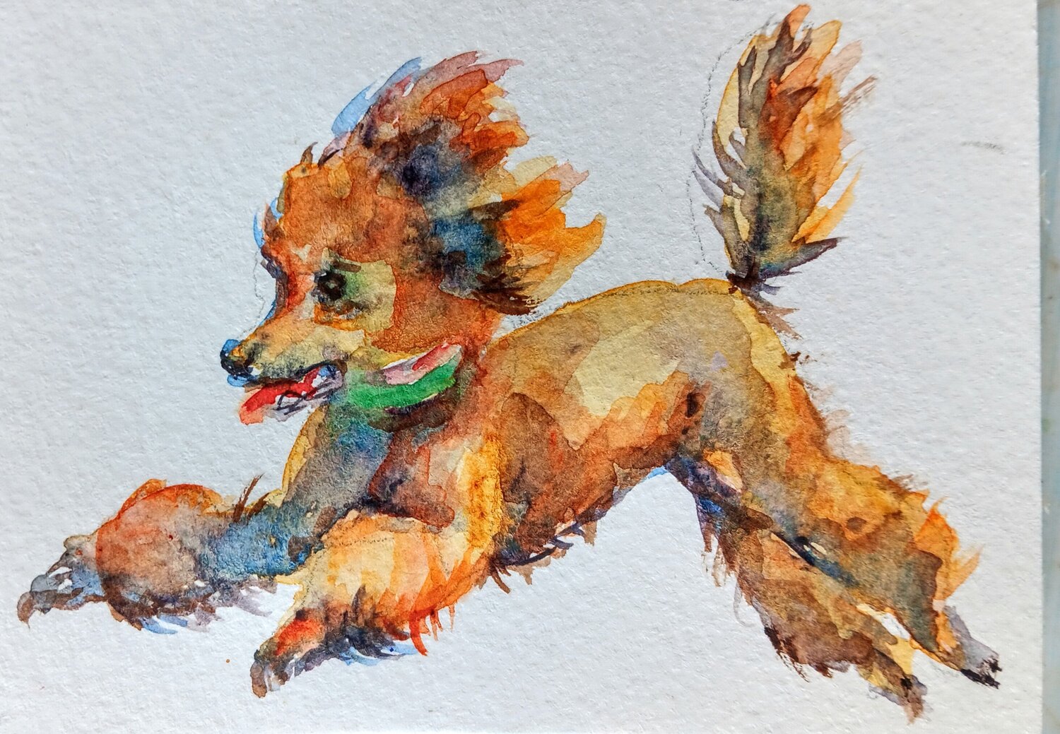 Dancing poodle dog art Daniela Vasileva