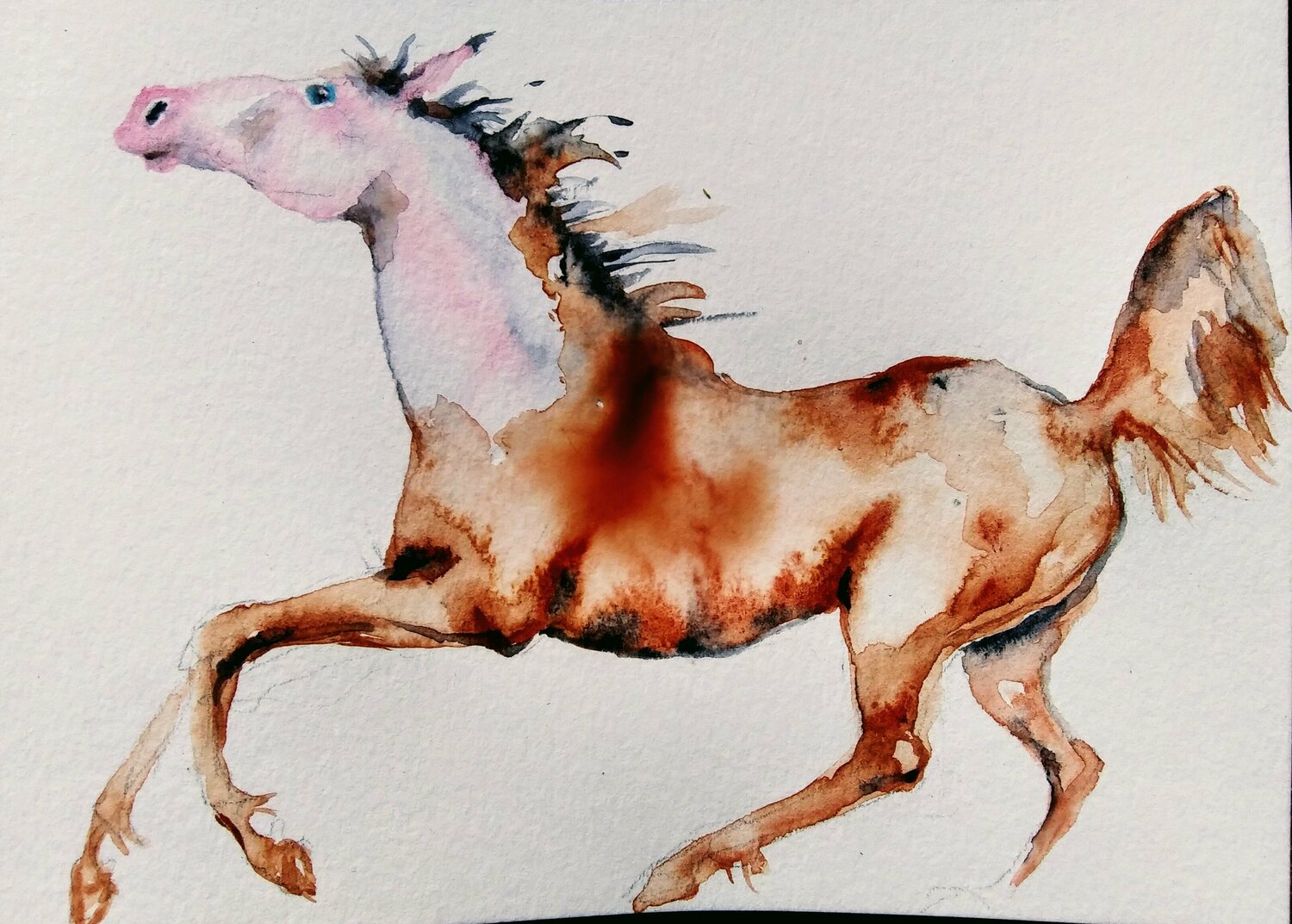Horse running. Black white blue Daniela Vasileva