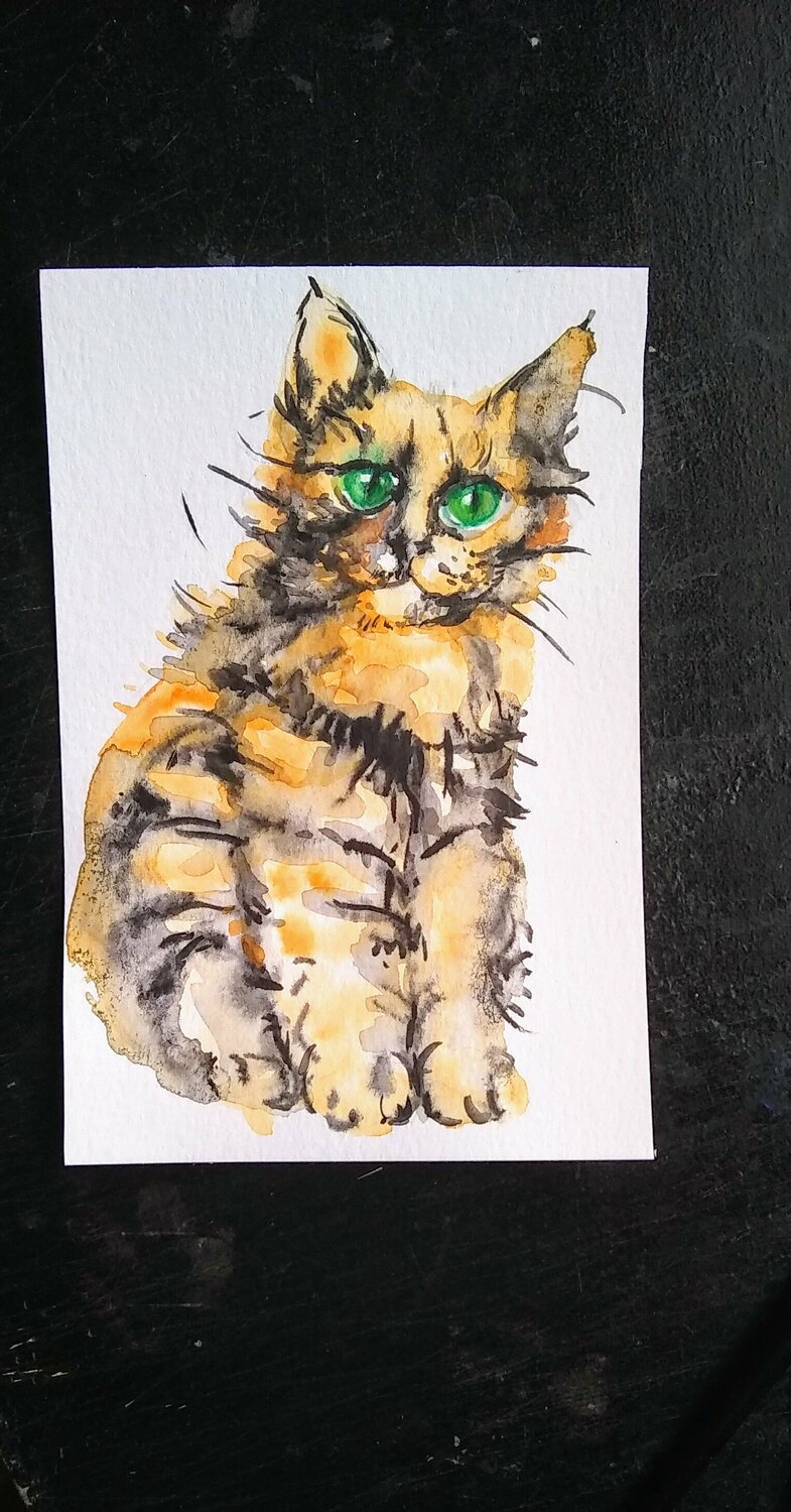 Calico kitty Daniela Vasileva