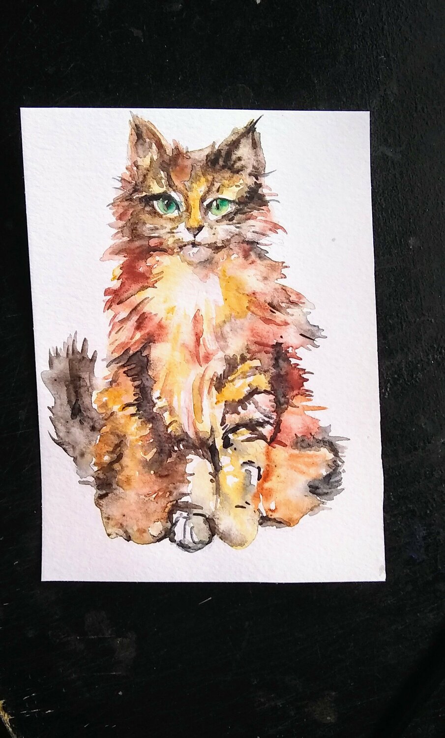 Calico Kitten Daniela Vasileva