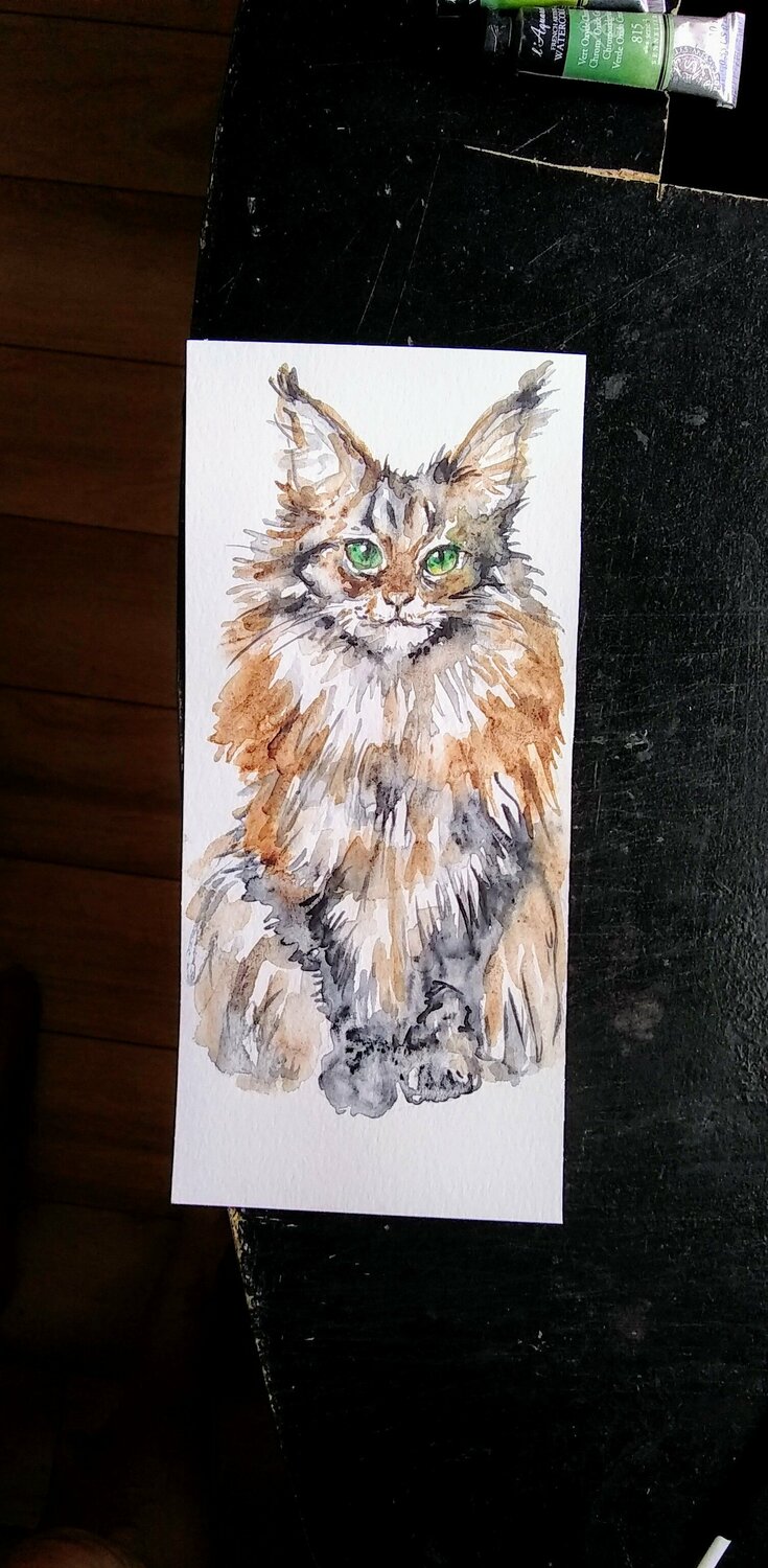 Calico kitty Daniela Vasileva