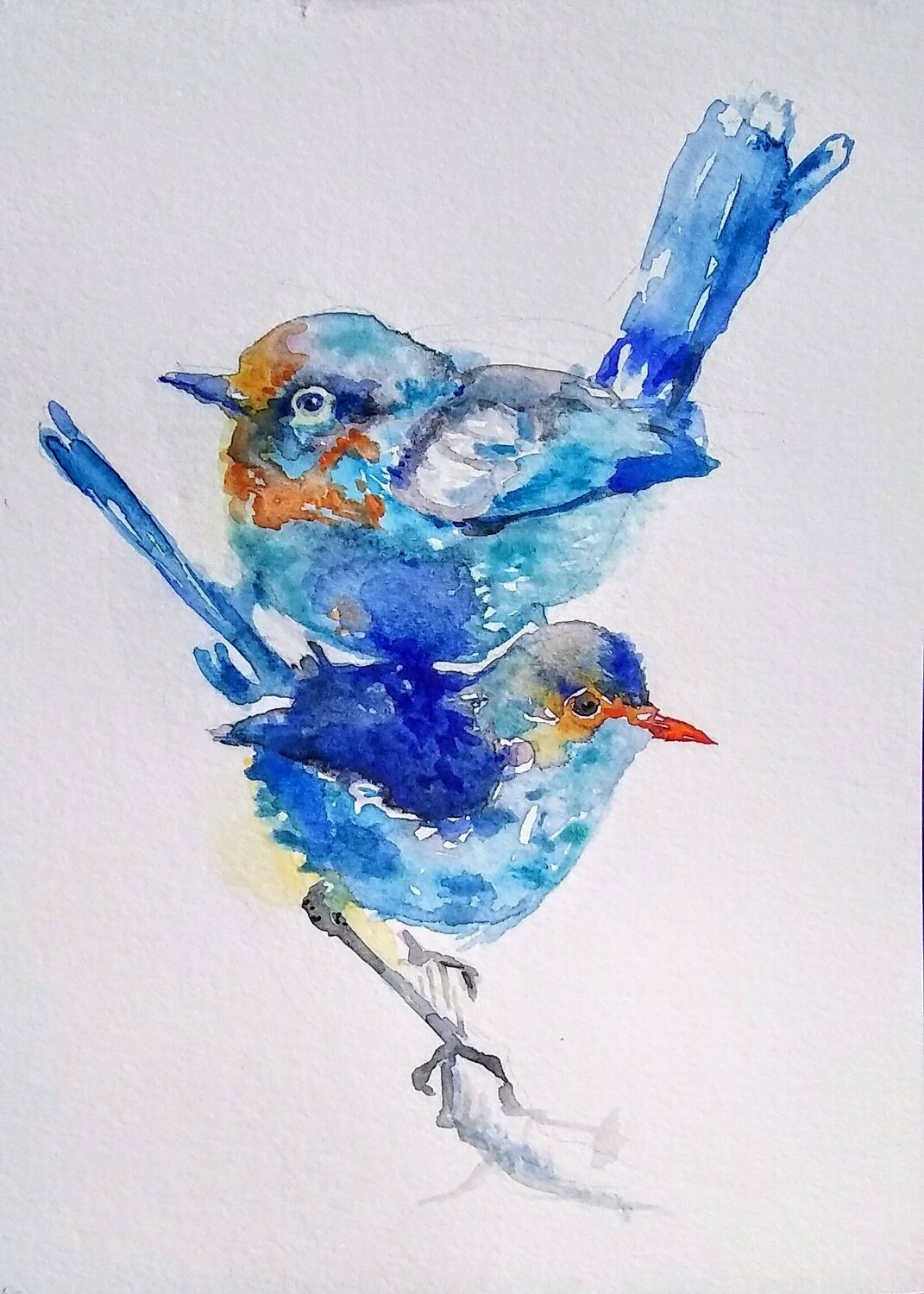 Nature inspired Colorful blue birds Daniela Vasileva