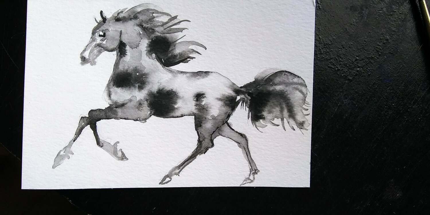 Black Horse running. Black and white Daniela Vasileva