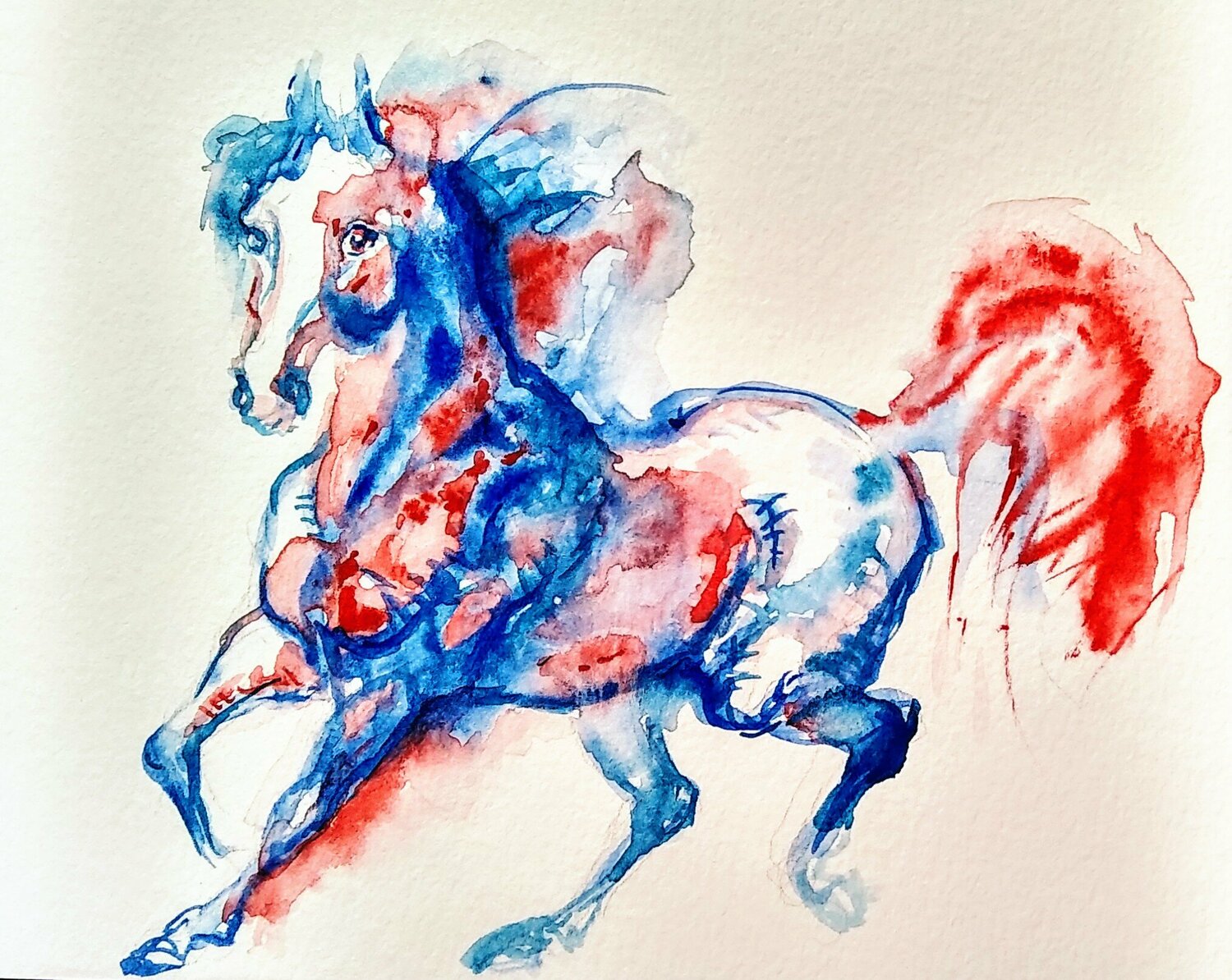 stallion running Daniela Vasileva