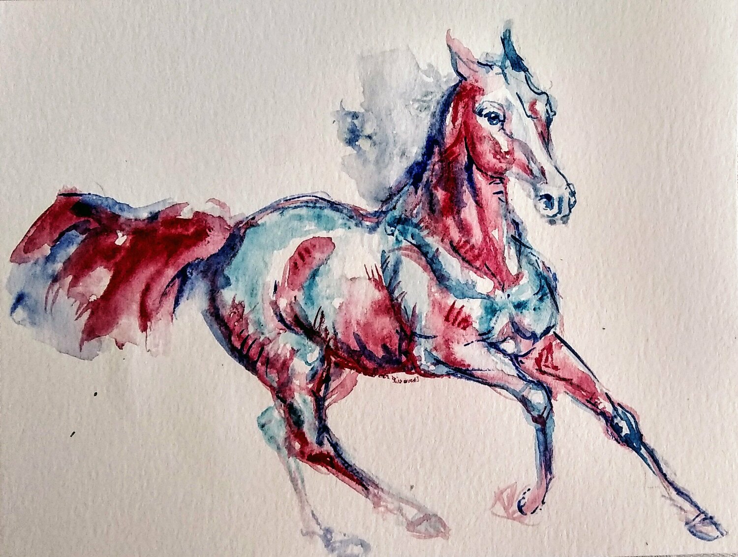 Red blue stallion running Daniela Vasileva
