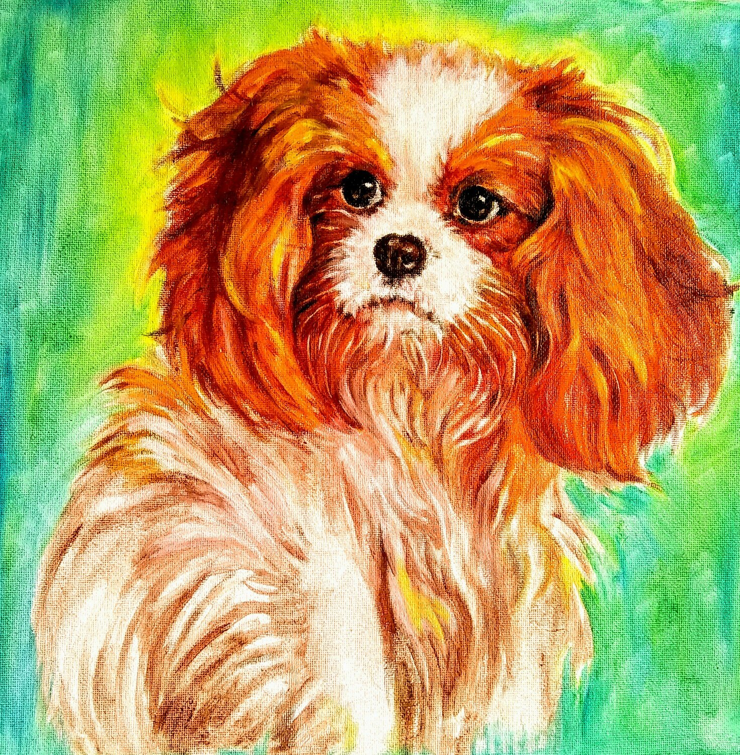 Cavalier King Charles spaniel puppy Daniela Vasileva