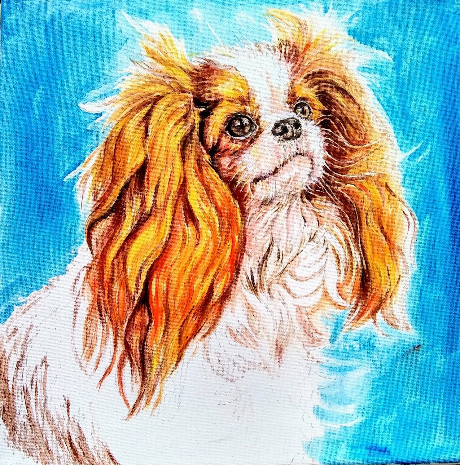 Cavalier King Charles spaniel puppy Daniela Vasileva