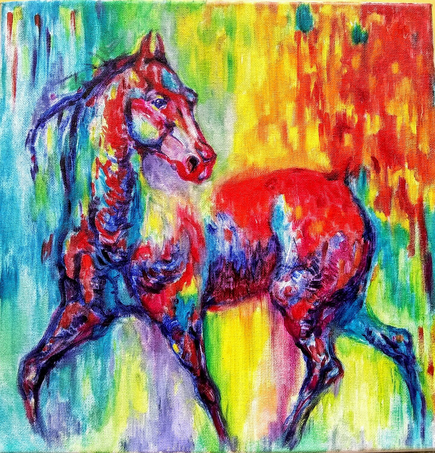 Colorful horse In motion Daniela Vasileva
