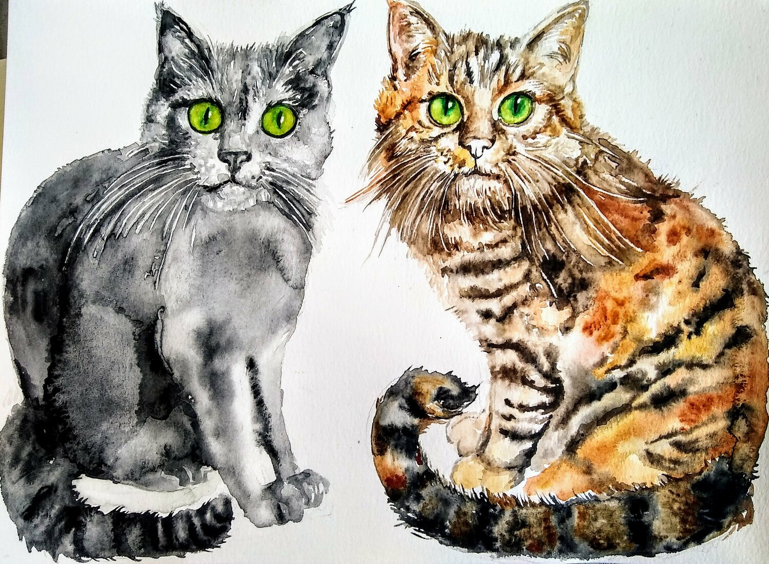 Two cats Daniela Vasileva