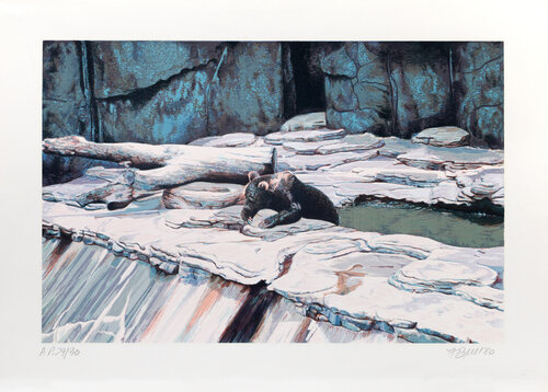 Zoo Bear van Fran Bull, Afdruk te koop op Singulart