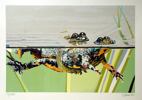 Frogs von Fran Bull, Druck kaufen auf Singulart