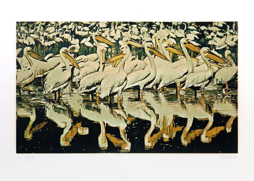 Pelicans von Fran Bull, Druck kaufen auf Singulart