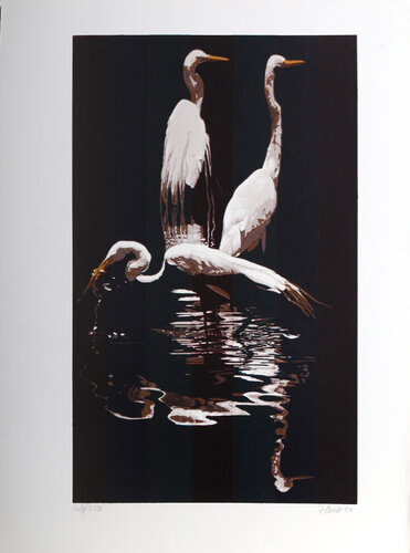 Egrets par Fran Bull, Édition en vente sur Singulart