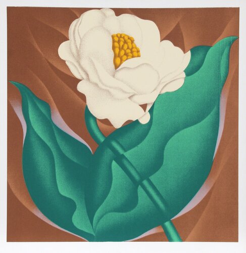 Globe Flower di Jack Brusca, Stampa in vendita su Singulart