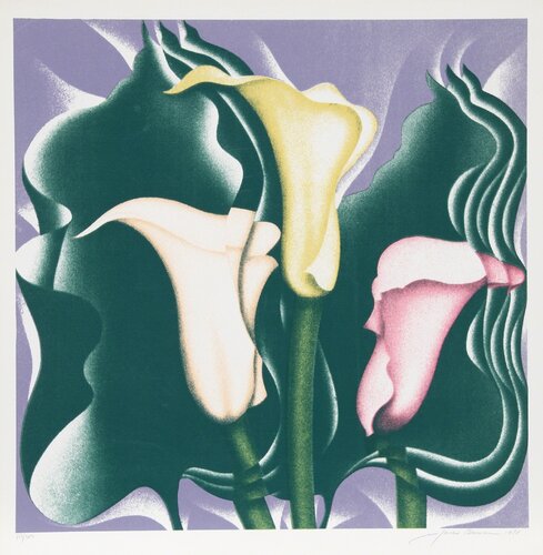 Calla Lily di Jack Brusca, Stampa in vendita su Singulart