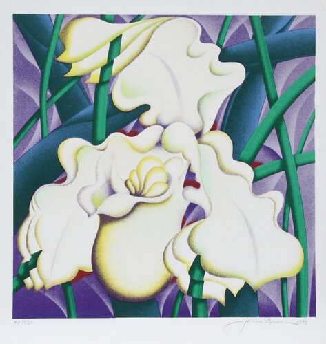 Orchid I van Jack Brusca, Afdruk te koop op Singulart