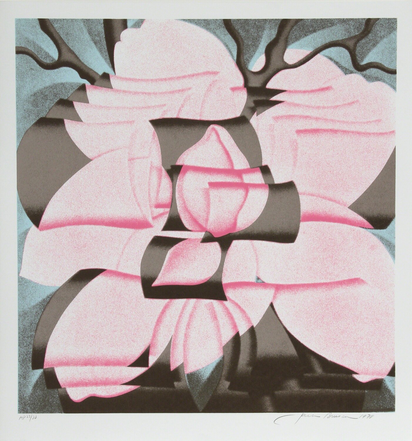 Magnolia  Jack Brusca