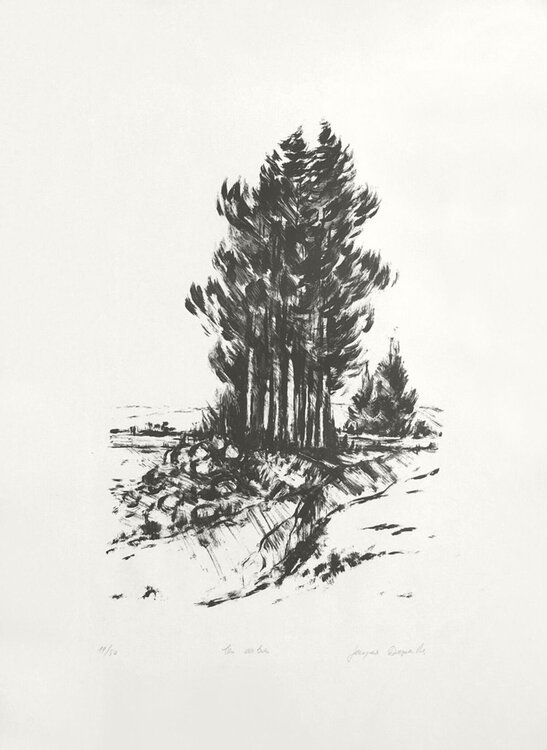Les arbres Jacques Deperthes