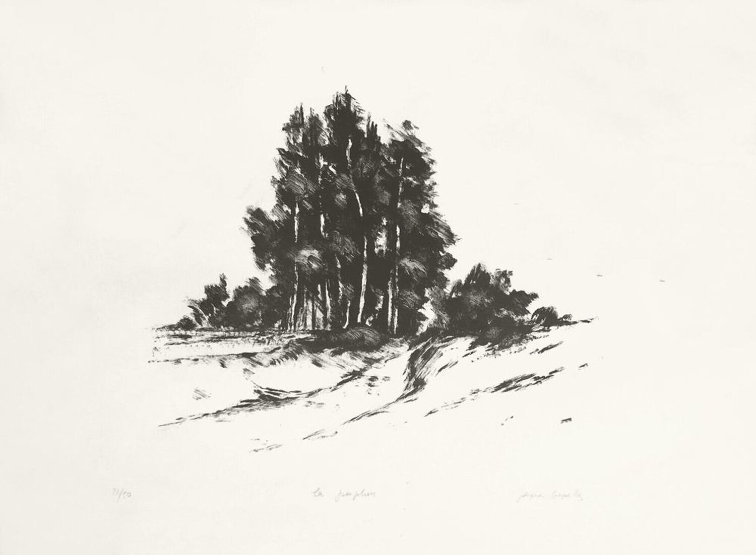 Les peupliers Jacques Deperthes