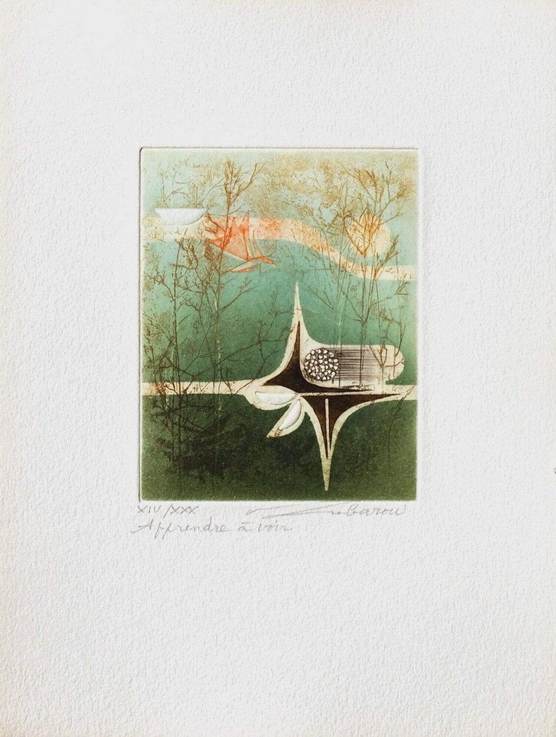 Apprendre à voir Renée Lubarow