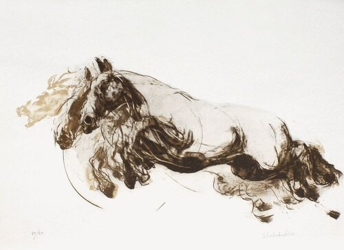 Galop II by Shahabuddin Ahmed, Print for Sale on Singulart