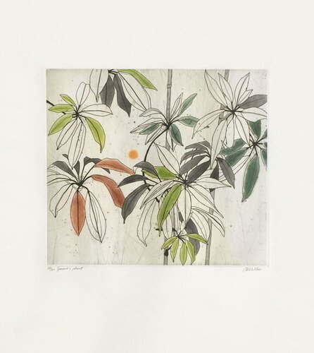 Jennies plant van Anne Walker, Afdruk te koop op Singulart