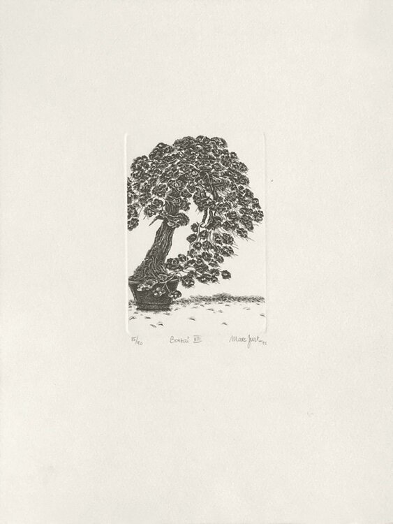 Bonzaï VIII Marc Jurt
